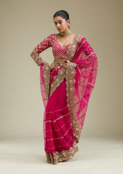 Rani Pink Zariwork Tissue Saree